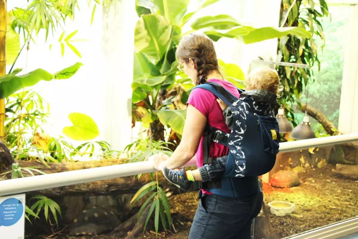 Carrying my son in a LÍLLÉbaby CarryOn Toddler Carrier