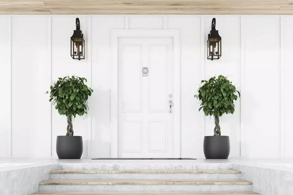 Two decorative plants stand in black pots either side of a white front door