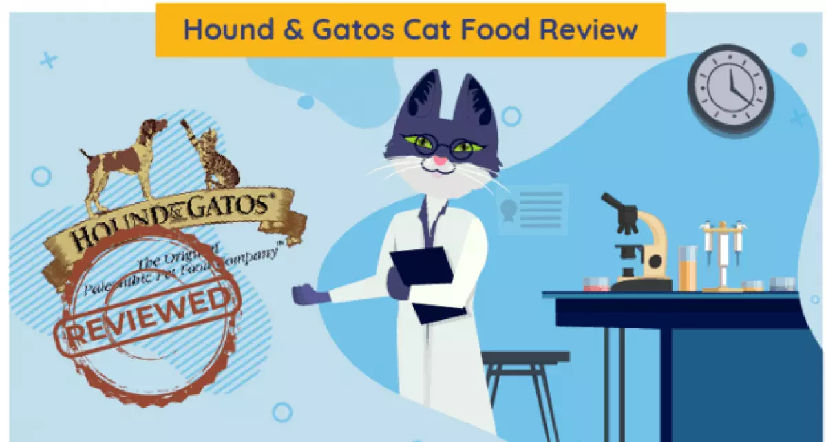 Hound & Gatos Cat Food Review