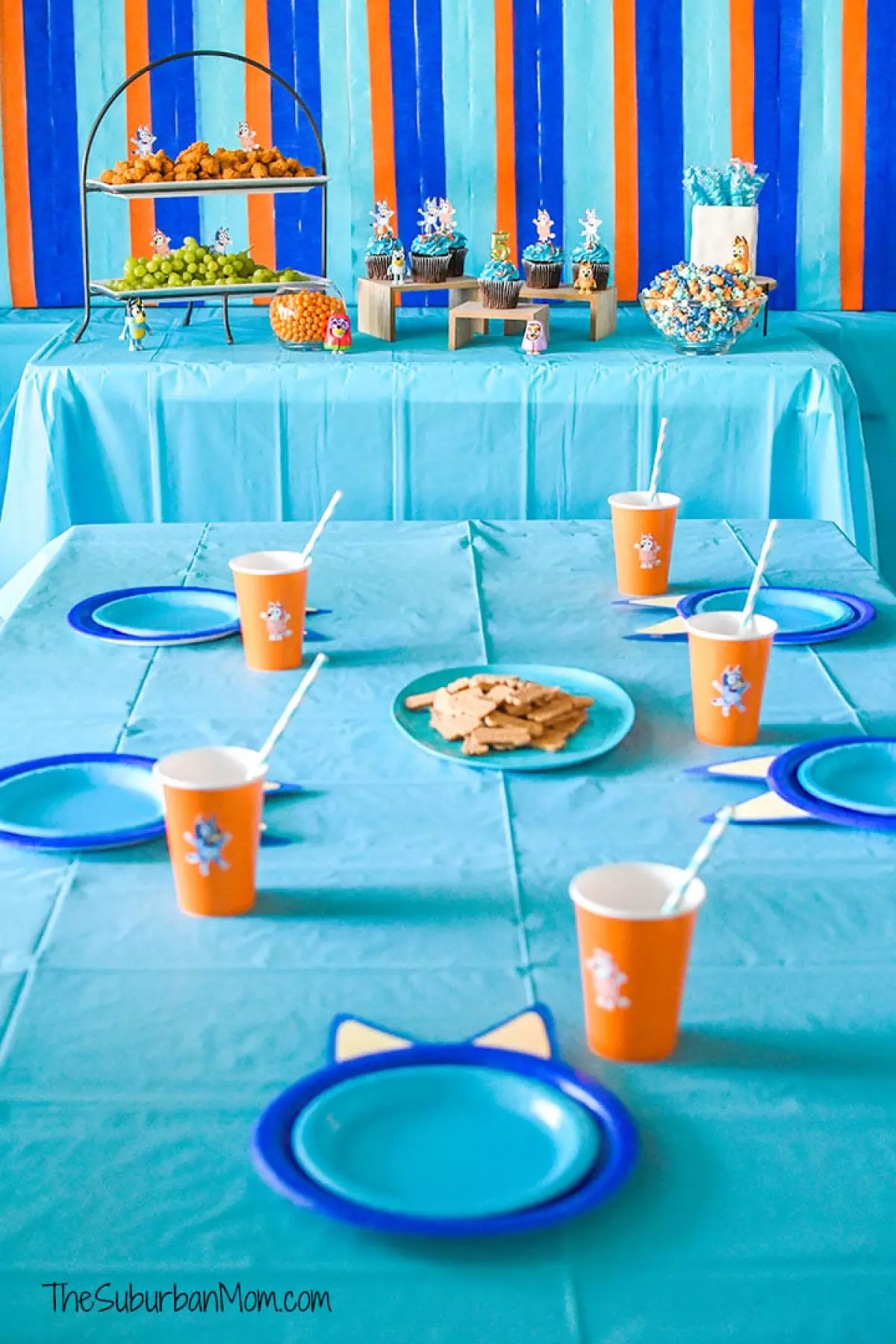 Bluey Birthday Party Ideas