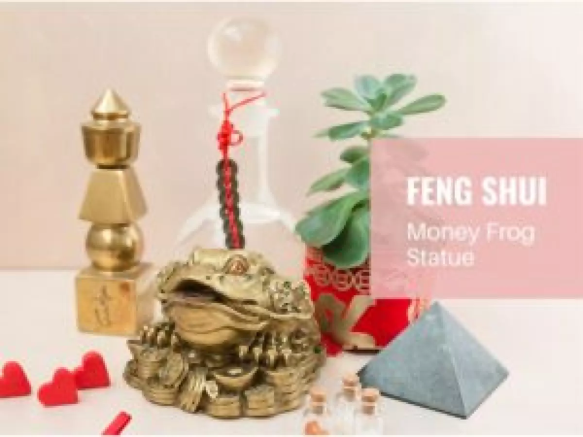 Place Your Feng Shui Money Frog The Right Way The Best Placement Guide