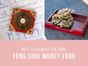 Different Types Of Money Frogs And Their Significance