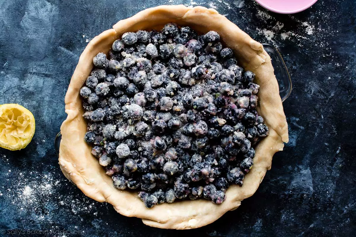 blueberry pie filling in pie dish