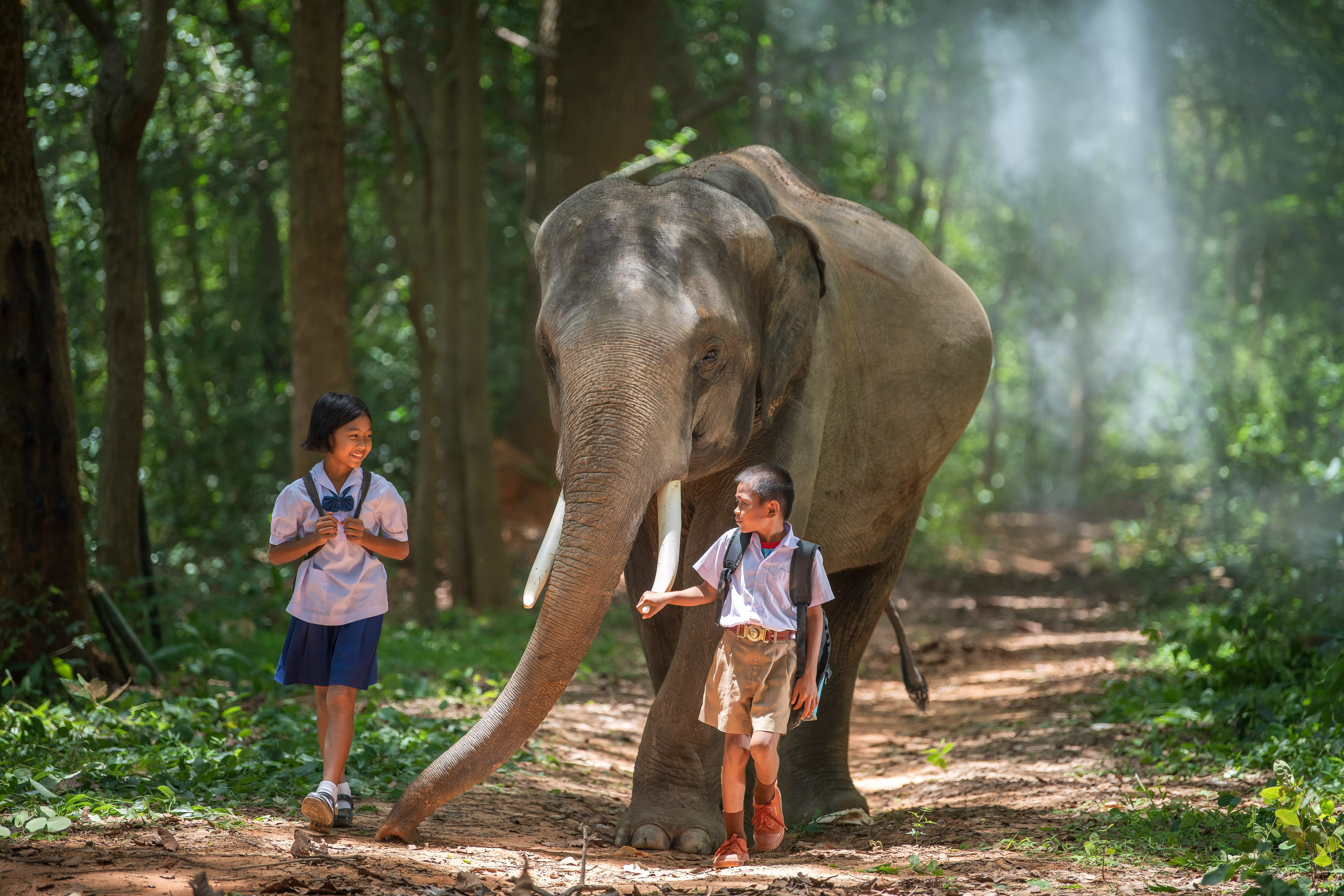 Đi bộ với voi tại Thái Lan, một trong những điểm đến kỳ nghỉ gia đình tốt nhất
