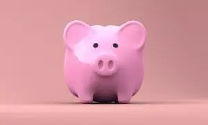 Piggy Bank, Money