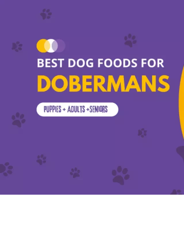   13 Best Dog Foods for Dobermans 2023: Premium &amp; Budget