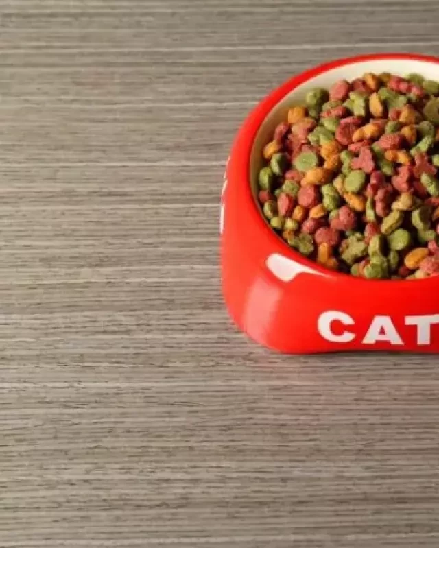   Can Guinea Pigs Eat Cat Food? Understanding the Facts and Advice