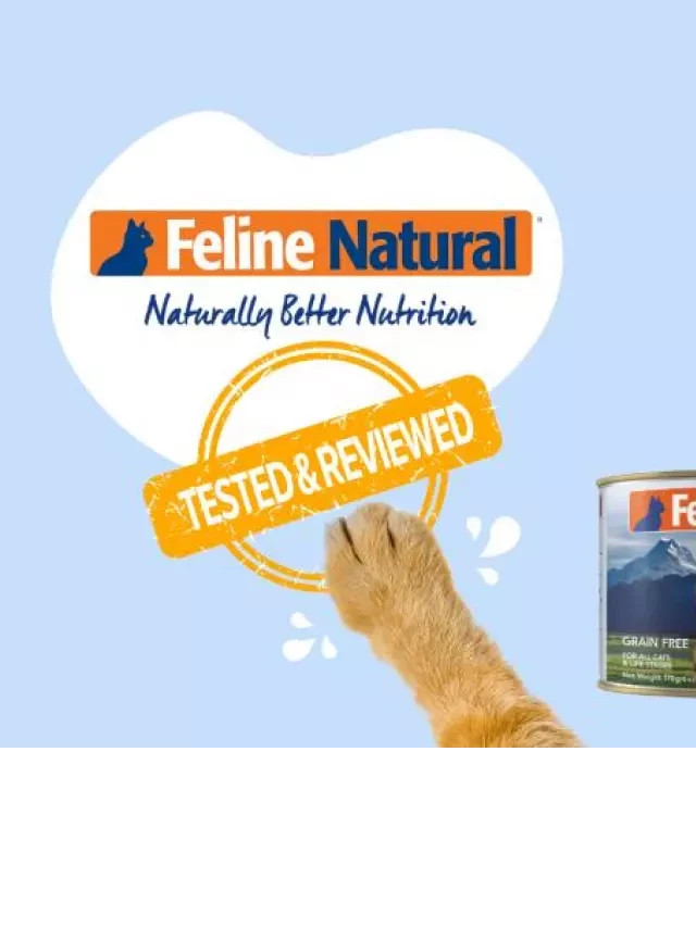   Feline Natural Cat Food: A Comprehensive Review