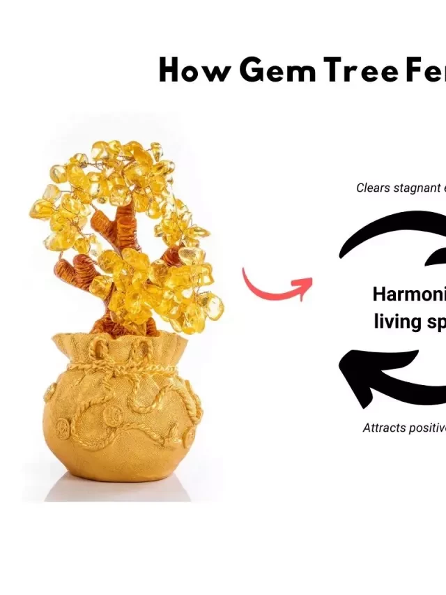   Feng Shui Gem Trees: Bring Balance and Harmony into Your Life