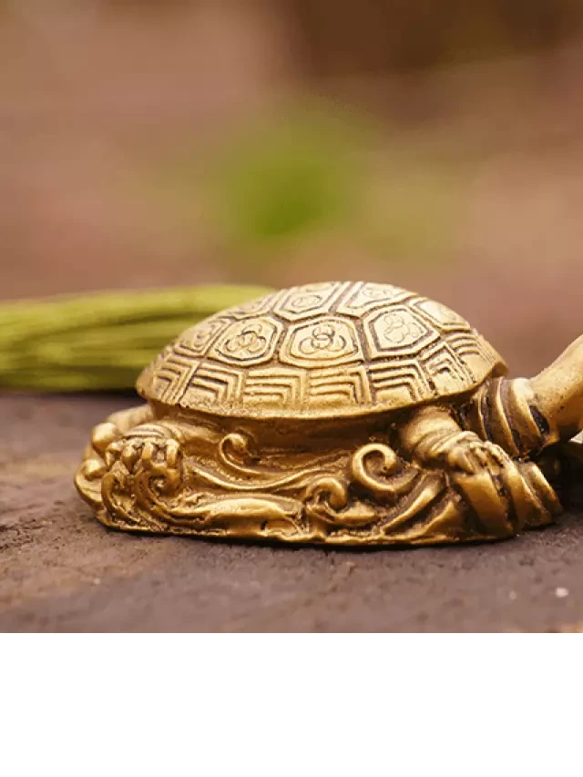   Feng Shui Tortoise: Harnessing Positive Energy for Good Luck and Prosperity
