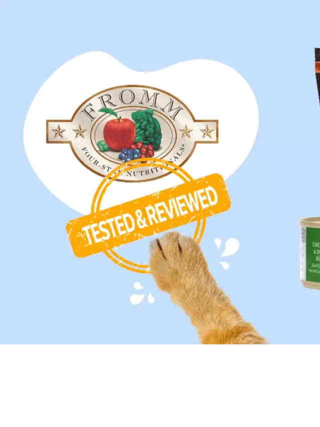   A Fresh Look at Fromm Cat Food: A Review