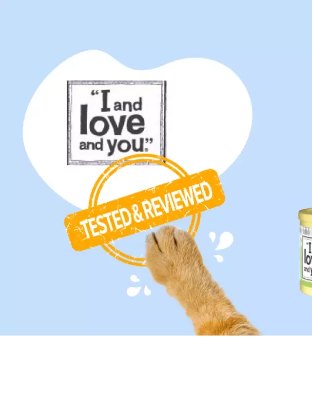   I and Love and You Cat Food Review: A Purr-fect Choice for Your Feline Friend
