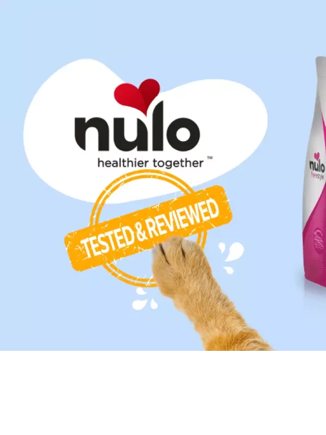   Nulo Cat Food Review: A Nutritious Choice for Your Beloved Feline