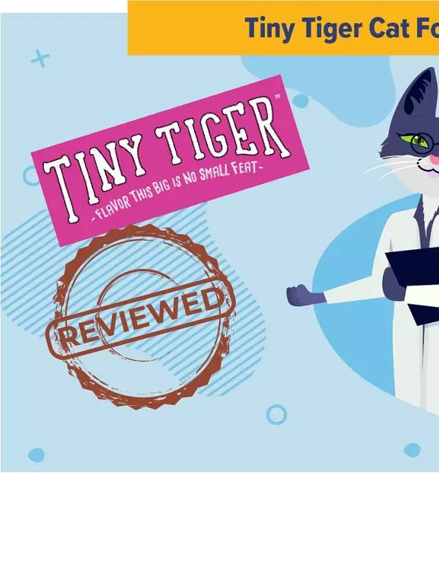   Tiny Tiger Cat Food: Affordable and Nutritious Choice for Your Feline Friend