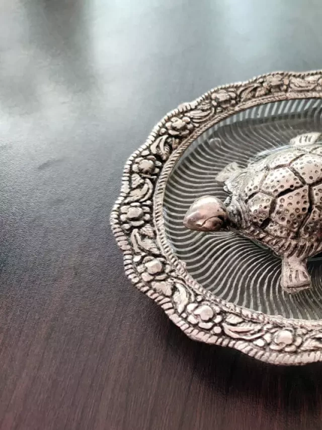   Vastu Tortoise: Unveiling the Secrets to Abundance and Good Luck