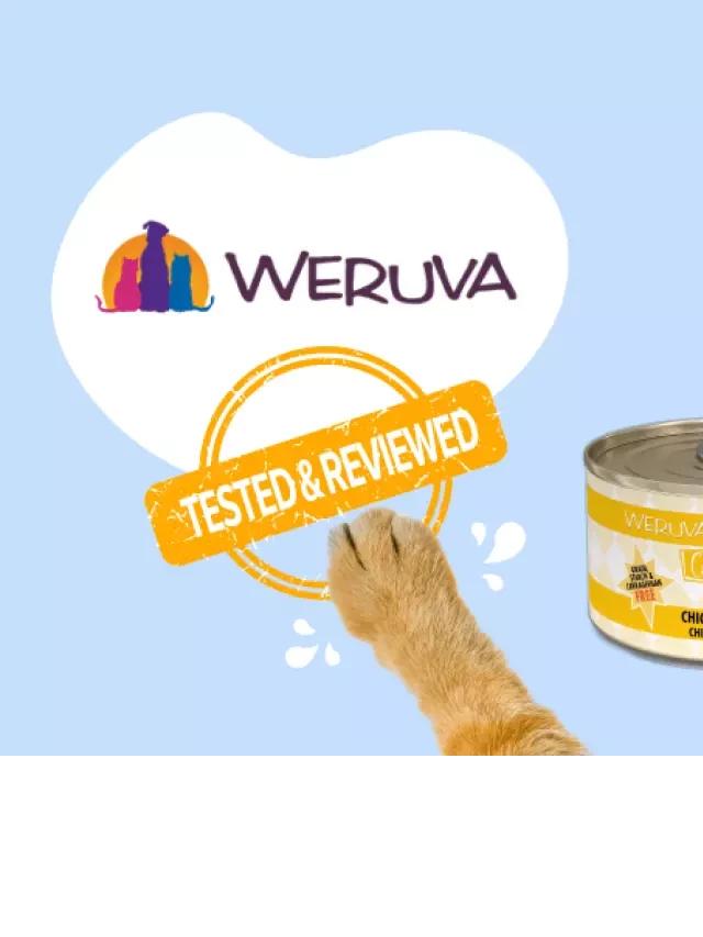   A Fresh Take on Weruva Cat Food: A Review Worth Reading