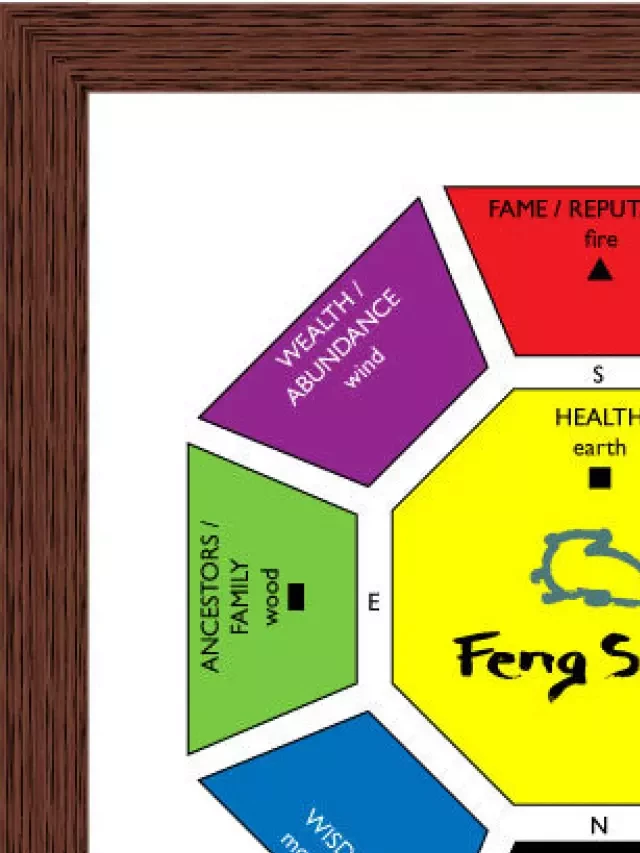   The Power of Bagua: Unlocking the Energy Map