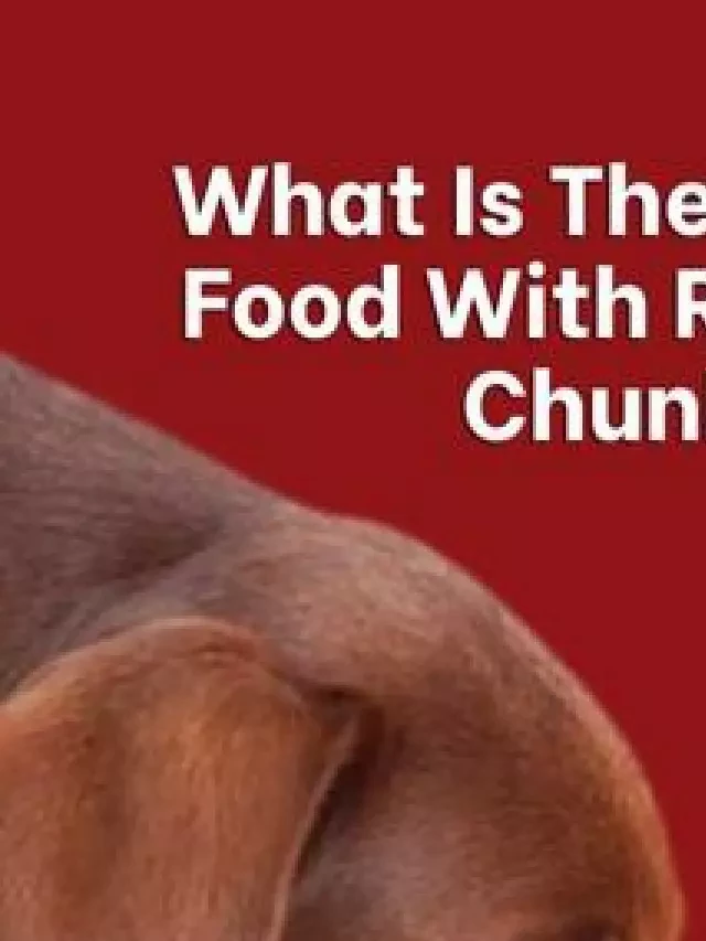   What is the Best Dog Food with Real Meat Chunks?